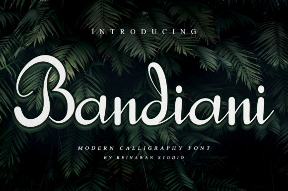 Bandiani: An Elegant Handwritten Font for Editorial Design