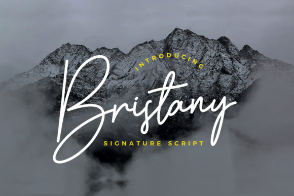 Bristany: The Relaxed Script Font for Your Brand