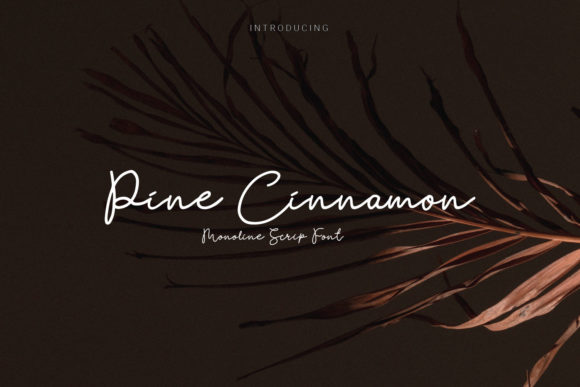 Pine Cinnamon: A Handwritten Script Font for Editorial Design