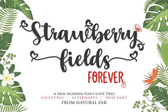 Strawberry Fields Forever: A Campaign Designer's Review